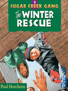 Cover image for The Winter Rescue